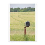 Country Mailbox Postcards