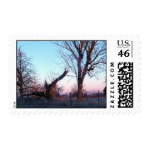 country morning drive postage