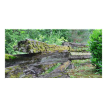 Country - Old log fence Personalized Photo Card
