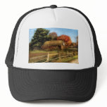 Country - Our Cabin Trucker Hat