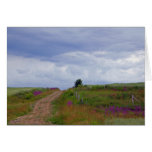 Country Pastel Cards