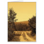 Country Road