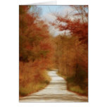 Country Road - Fall Colors Card