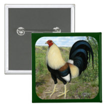 Country Road Gamecock Pinback Buttons