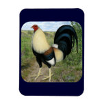 Country Road Gamecock Rectangular Magnets