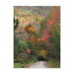 Country Road in Autumn Postcard