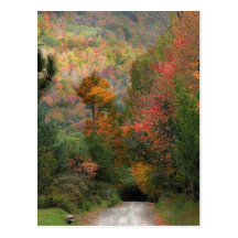 Country Road in Autumn Postcard