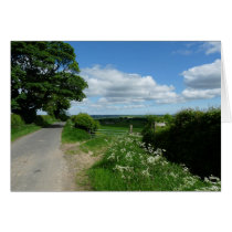 "Country Road near Edlingham" (2) Cards
