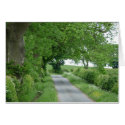 "Country Road near Edlingham" cards
