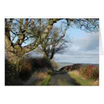 "Country Road" Northumberland England Greeting Card