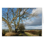 "Country Road" Northumberland England Greeting Cards