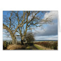 "Country Road" Northumberland England cards