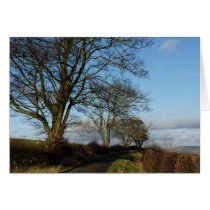 "Country Road" Northumberland England Card