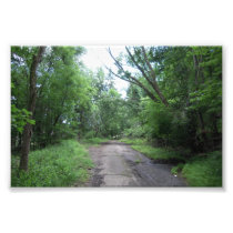 Country road photo art