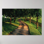 Country Road Poster