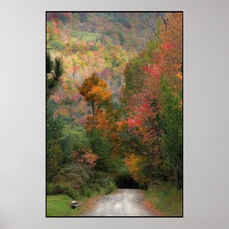 Country Road print