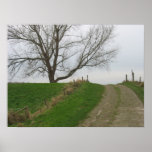 Country Road &amp; Tree Photo Poster Art