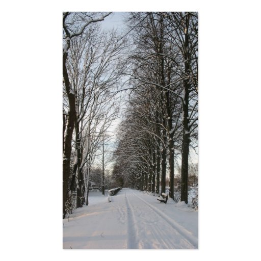 Country Road with Trees and Snow Photo Card Business Cards