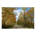 Country Roads posters