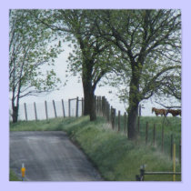 Country Roads posters