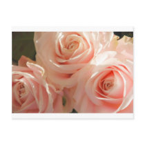 country rose post cards