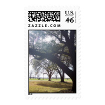 Country Scene in Louisiana postage