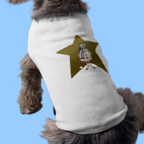Country Snowman with Star pet clothing