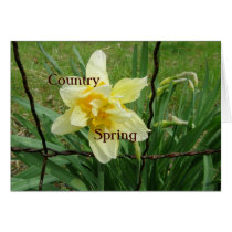 Country Spring cards by meia7214N Country Spring cards