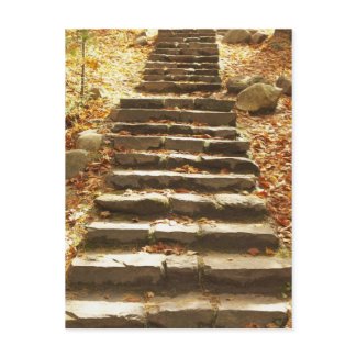 Country Stairway postcard