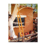 Country Store, Tubac, Arizona Postcards