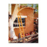 Country Store, Tubac, Arizona Postcards