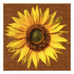 Country Sunflower Brown Bridal Shower Custom Invitations