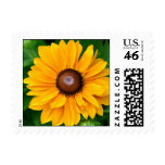 Country Sunflower wedding stamp