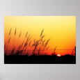 Country Sunset poster print