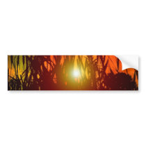 Country Sunset Through a Field Bumper Sticker
