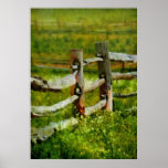 Country - The old fence post Print