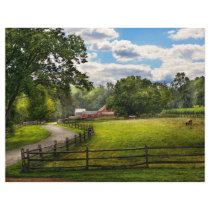 Country - The pasture Flyers