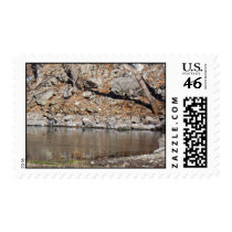 country view postage