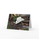 country western cards by deemac1 country western cards