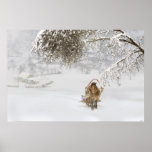 Country Winter Posters