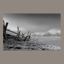 Country Winter posters