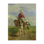 Country Woman Riding a Donkey Postcards