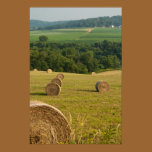 Countryside Hay Bales Poster Print posters