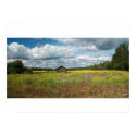 Countryside posters by EDEN Countryside posters