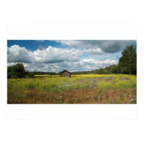 Countryside posters by EDEN Countryside posters