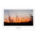 Countryside Sunset Poster posters by zorrobem Countryside Sunset Poster posters
