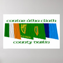 County Dublin Flags Poster