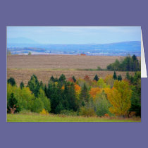 County Farm cards