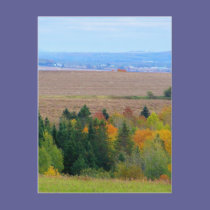 County Farm postcards
