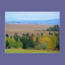 County Farm postcards